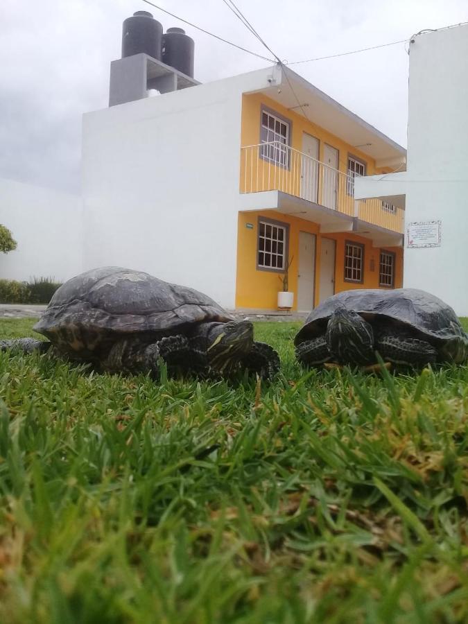Posada del Ángel Pachuca Exterior foto